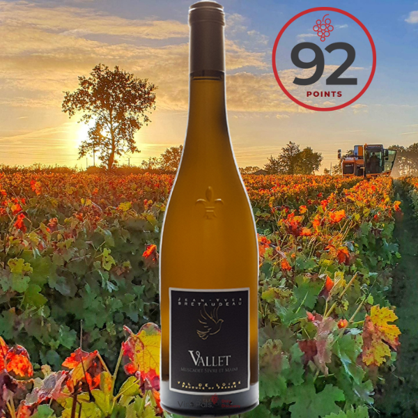 Jean Yves Bretaudeau MUSCADET VALET 2018