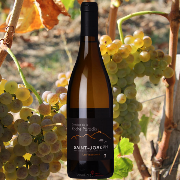 Domaine de la Roche Paradis Saint-Joseph Blanc Les Vessettes 2021 ...
