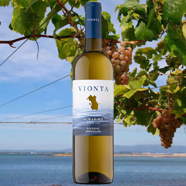 Vionta Albarino Rias Baixas 2023